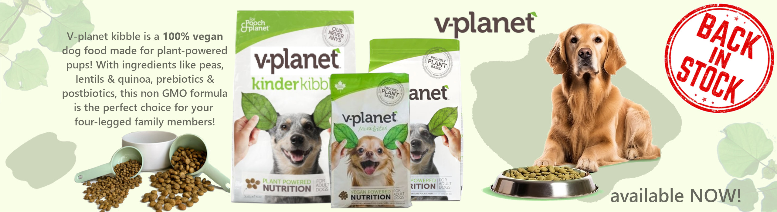 v-planet