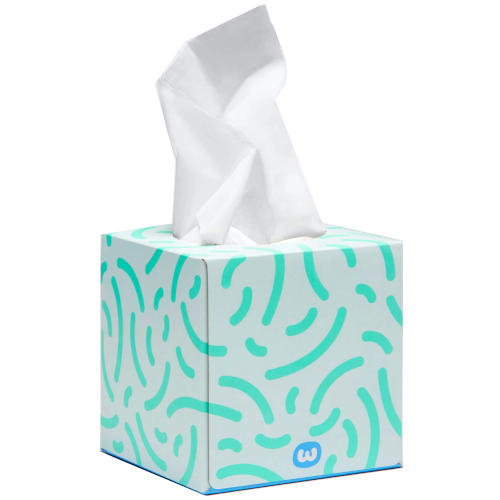 Who Gives a Crap Tissue Box 65pck